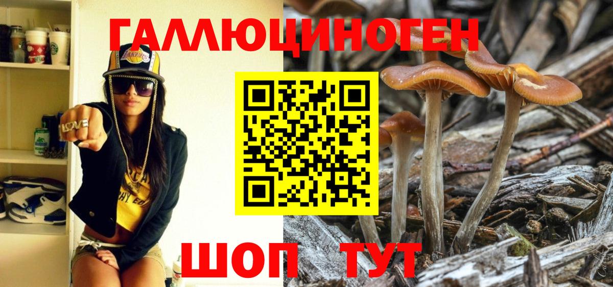 Галлюциногенные грибы мицелий Кореновск