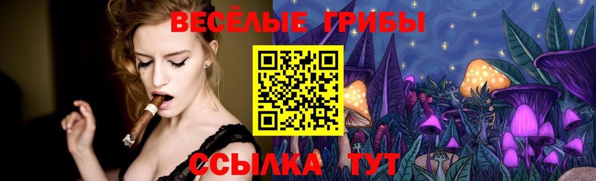 Галлюциногенные грибы мухоморы  Вход с VPN  Кореновск 